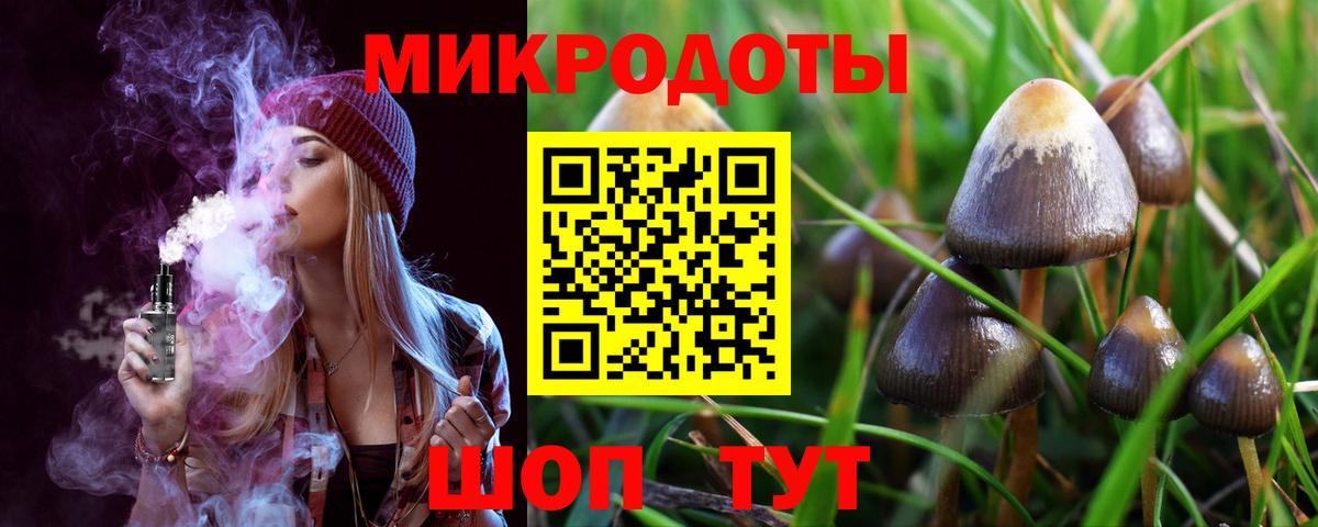 Псилоцибиновые грибы мицелий Воскресенск